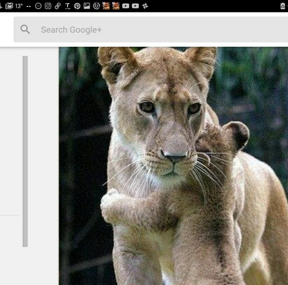 Meet your Posher, Tina - Picture 2 of 2